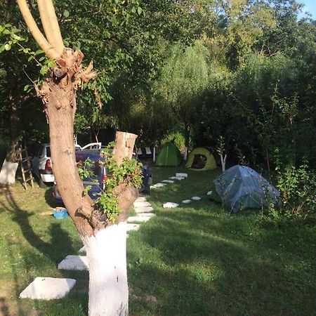 Ieşelniţa Camping In Clisura Dunarii المظهر الخارجي الصورة