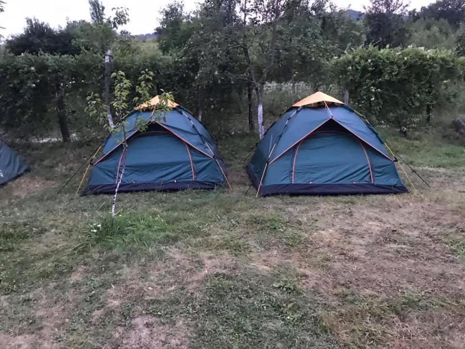 Ieşelniţa Camping In Clisura Dunarii المظهر الخارجي الصورة