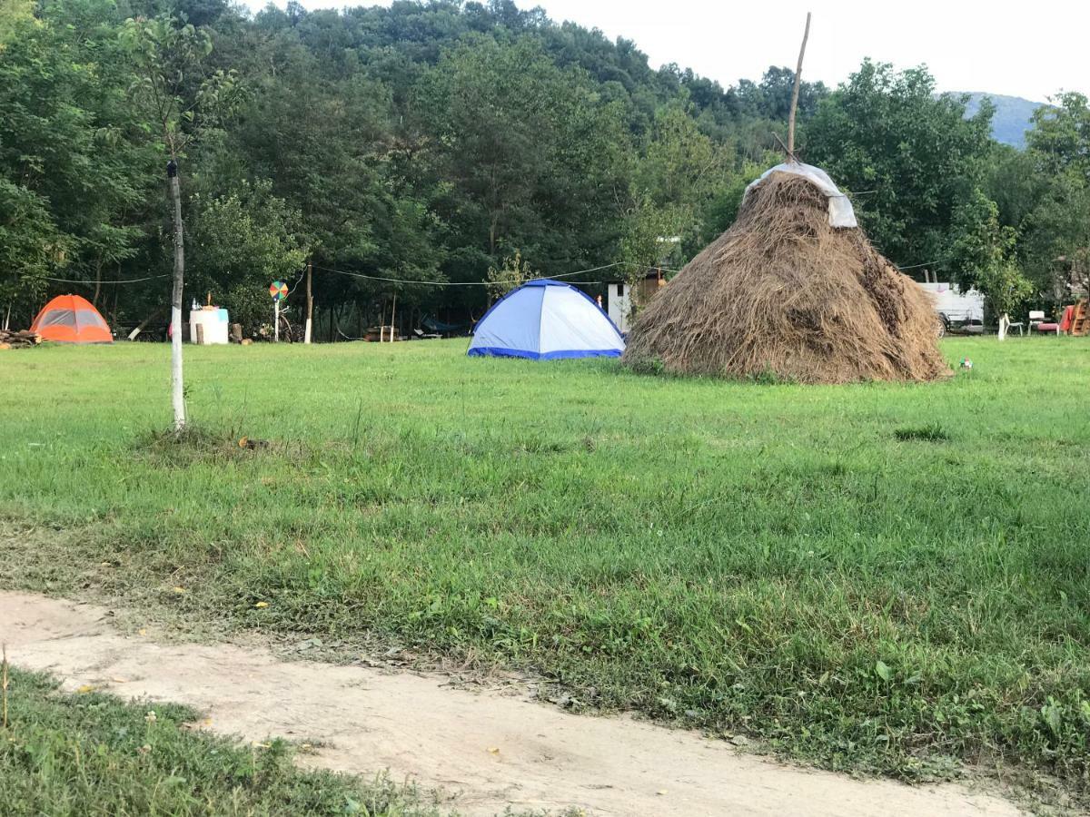 Ieşelniţa Camping In Clisura Dunarii المظهر الخارجي الصورة