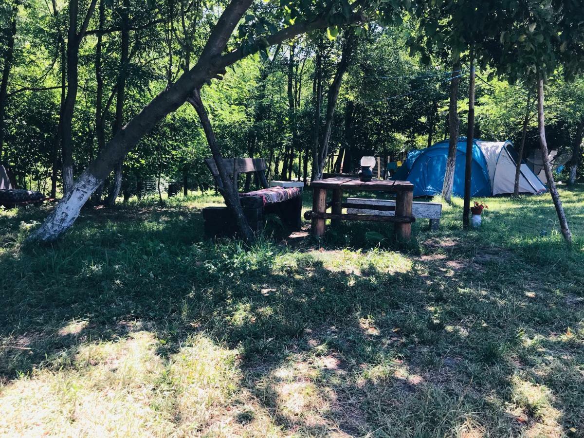 Ieşelniţa Camping In Clisura Dunarii المظهر الخارجي الصورة