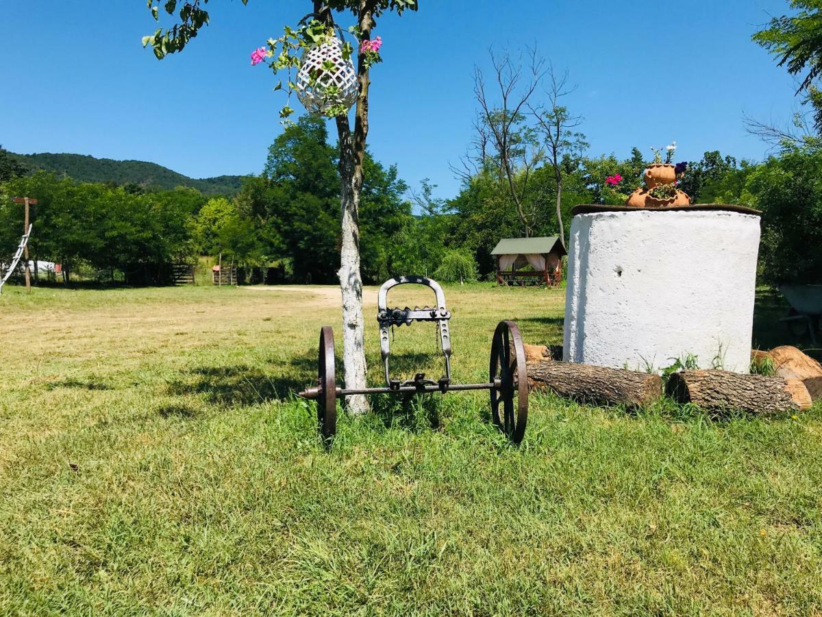 Ieşelniţa Camping In Clisura Dunarii المظهر الخارجي الصورة