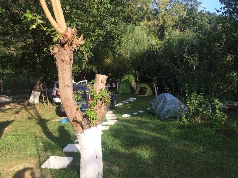 Ieşelniţa Camping In Clisura Dunarii المظهر الخارجي الصورة