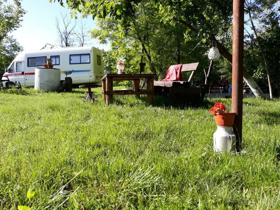 Ieşelniţa Camping In Clisura Dunarii المظهر الخارجي الصورة