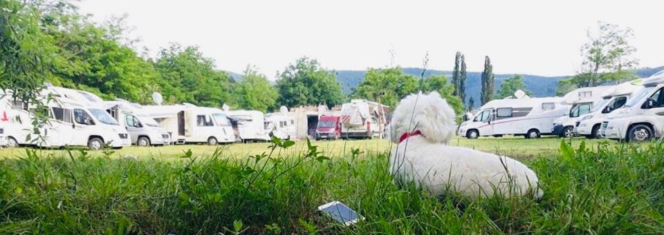 Ieşelniţa Camping In Clisura Dunarii المظهر الخارجي الصورة